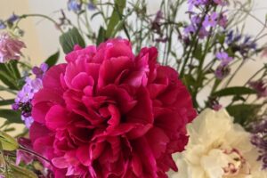 Blumen-01