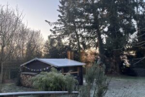 Garten-im-Winter